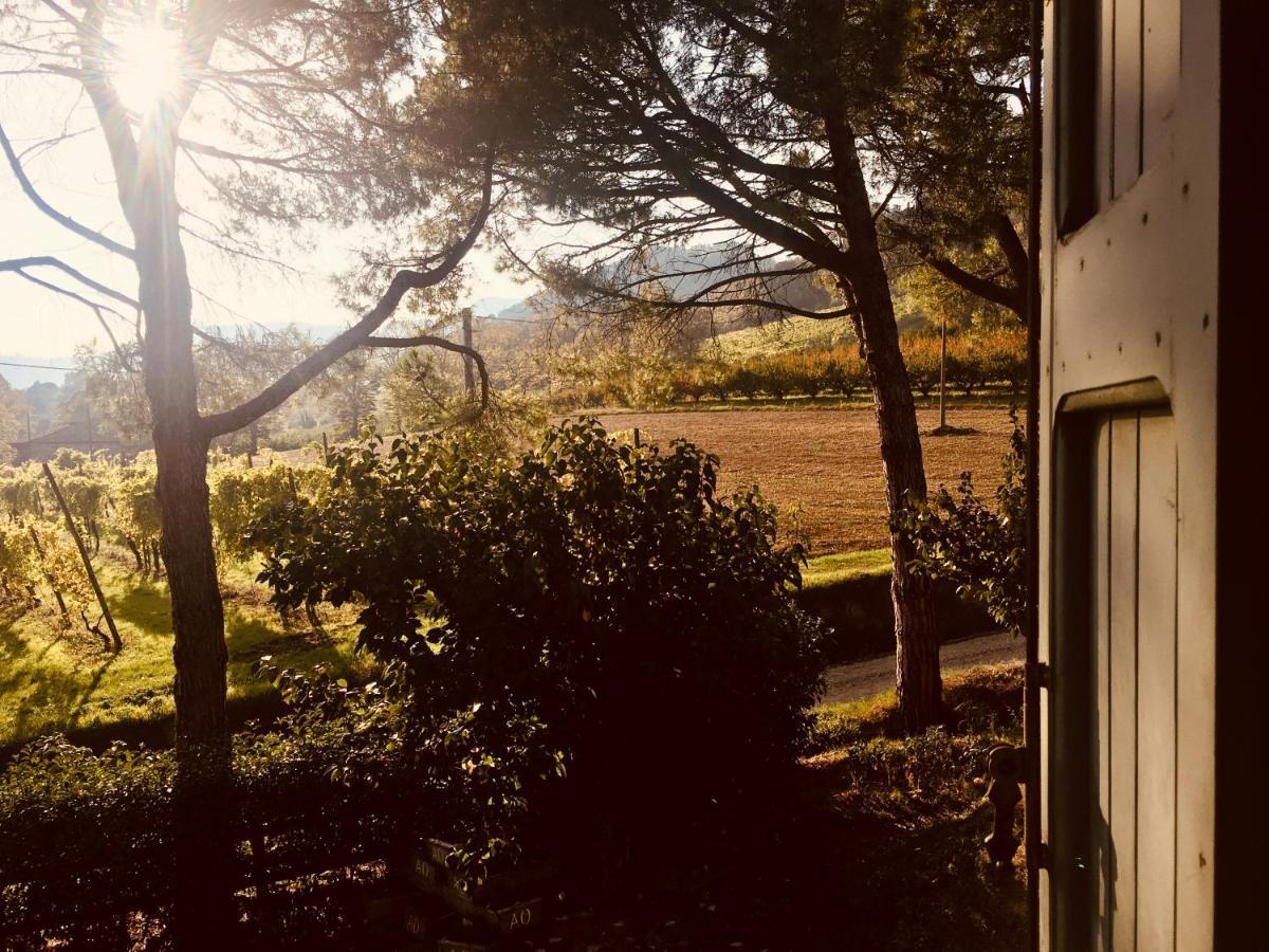 Casola Valsenio Il Cardello Locanda מראה חיצוני תמונה