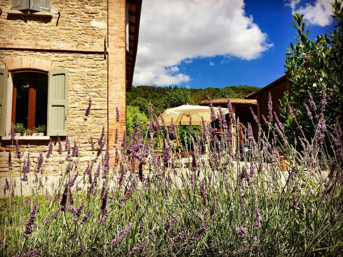 Casola Valsenio Il Cardello Locanda מראה חיצוני תמונה